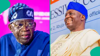 APC Chairman: Internal Polls Show Tinubu Winning 2027 Election