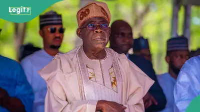 APC Chieftain: Tinubu Deserves Re-election in 2027 Based on Achievements