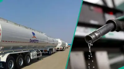 Dangote Refinery Names 20 Marketers for New Petrol Supply Consortium