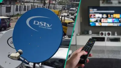 DStv to Remove JimJam Channel After 13 Years of Children's Programming