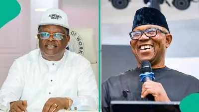 Ebonyi Diaspora Group Demands Umahi Apologise to Peter Obi