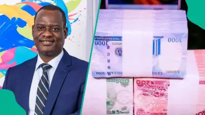 FG Explains Why Nigeria Printed Over N30 Trillion Three Years Ago