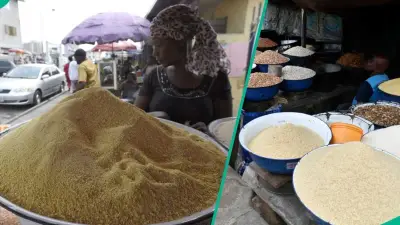 Garri Prices Drop: White Falls 14.2%, Yellow 25.1% by October