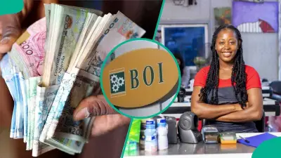 How to Apply for BOI Loan Online: Requirements, Steps, Documents