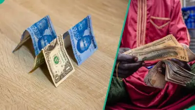 Naira Falls to N1,334.72/$1 at Official Market, FX Turnover Jumps 110%