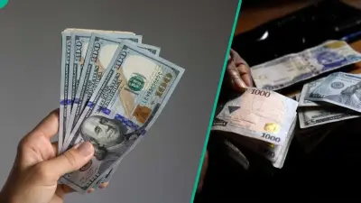 Naira Gains 11 Kobo Against Dollar at Official Market