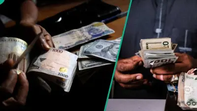 Naira Gains N1.31 Against Dollar as CBN Reports $40bn Net Reserves