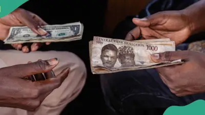 Naira Hits Two-Year High at N1,331.77/$ as FX Supply Strengthens