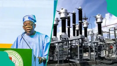 NERC Approves 10 Institutions to Generate 54.94MW Captive Power