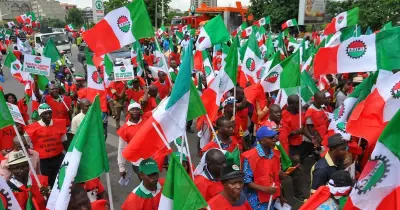 NLC strike shuts Abuja public schools over teacher promotion policy