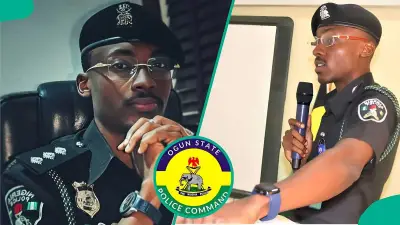 Ogun Police Arrest Prophet's Son Over N18m Facebook Impersonation Scam