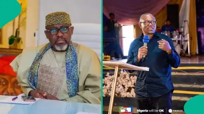 Okorocha Slams Peter Obi's Four-Year Presidency Plan as Dangerous Gamble