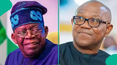 Peter Obi Ally Forms Alliance with Tinubu Supporters Ahead of 2027