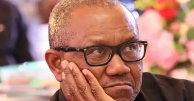Peter Obi faces backlash over advice to Nigerians abroad on remittances