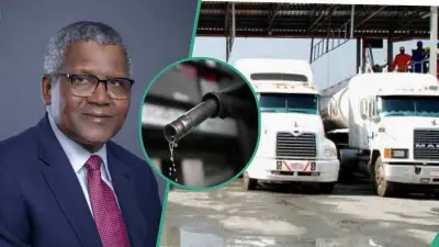 PETROAN, DAPPMAN Protest Dangote Refinery Petrol Supply Ban to Importers