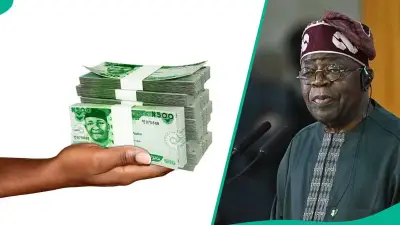SMEDAN N50,000 Grant Portal Reopens for Nigerian Nano Businesses