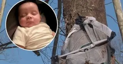 Tornado Sweeps 4-Month-Old Baby Away in Bassinet, Found Alive in Tree