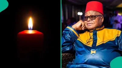 Veteran Journalist and Ex-Ambassador Dele Cole Dies at 86