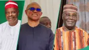 2027: NDC's Kwankwaso Rules Out Stepping Down for ADC, Atiku