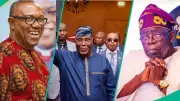 2027: Report Predicts Tinubu, Atiku, Obi Winners in Kano, 4 States