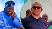 APC Tells Peter Obi to Quit 2027 Race Over Anambra Liabilities Pledge