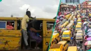 FG Moves to Crash Transport Fares as Tinubu Celebrates N50 Bus Fares