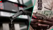 FG Warns Naira Could Crash to N4,000/$ if Fuel Subsidy Returns