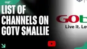 GOtv Smallie Price, Channels, and Subscription Guide in Nigeria
