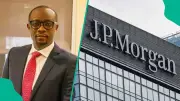 JPMorgan Nigeria Merchant Bank Chief: Adedapo Olagunju Profile