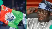 Labour Party Youth Leaders Propose Backing Tinubu for 2027 Re-Election