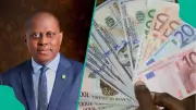 Naira exchange rate: Dollar, euro, pound trade at N1,329, N1,510, N1,766 in official market