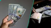 Naira Gains 11 Kobo Against Dollar at Official Market