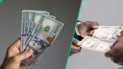 Naira Slips 0.15% Against Dollar as Deutsche Bank Adds Nigeria to Forex Monitor