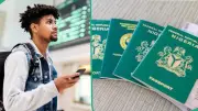 New Zealand Rejects 6,273 Student Visas in 3 Months as Fraud Checks Tighten