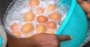Nigerian food creator warns of detergent in roadside boiled eggs