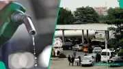Petrol Prices: Marketers Sell Higher Than Dangote at N1,360
