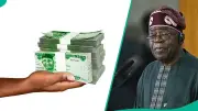 SMEDAN N50,000 Grant Portal Reopens for Nigerian Nano Businesses
