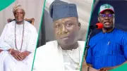 Sunday Igboho Warns Against Plot to Depose Olubadan: 'We'll Disrupt Everywhere'