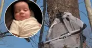 Tornado Sweeps 4-Month-Old Baby Away in Bassinet, Found Alive in Tree
