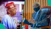 Why Fashola Is Not in Tinubu's Cabinet: Ex-Presidential Aide's Claim